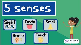 The Five Senses for Kids  Sight Taste Smell Touch and Hearing [upl. by Atir268]