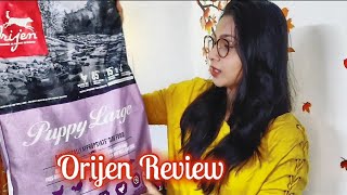 Orijen Dog Food Review  Orijen Puppy Food [upl. by Rajiv]