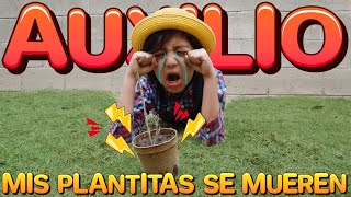 No Puede Ser Algo muy MALO pasa con MIS PLANTITAS [upl. by Deeann]