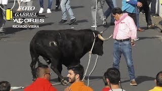 AS Melhores Touradas 2018 Parte 10 Ilha Terceira AÇORES [upl. by Aken]