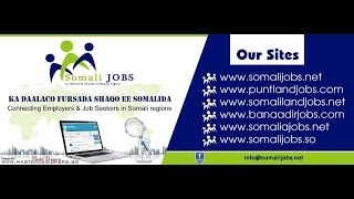 How to Write a Good CV  Somali Jobs [upl. by Meraree155]