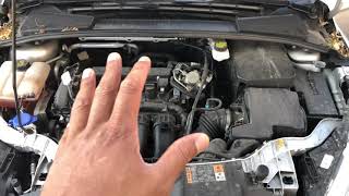 2018 Ford Focus  Brake fluid location [upl. by Beatty]