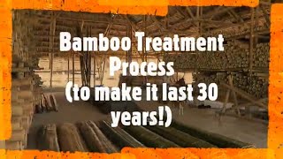 Bamboo Treatment Process for Building Construction [upl. by Cynthia103]