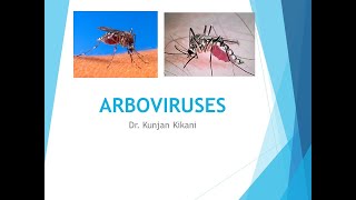 Arbovirus [upl. by Brandtr]