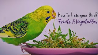 How to get your Parrot to eat Vegetables amp Fruits Simple and Fun [upl. by Reagan]