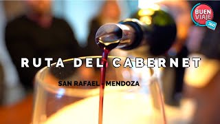 RUTA DEL VINO CABERNET 🍷 3 bodegas en San Rafael Mendoza [upl. by Anatlus]