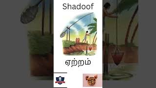 shortsvideo shortsviral shortsyoutube meaning of shadoof [upl. by Mert271]