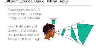 Perception 61  Depth Perception Overview and Oculomotor Cues [upl. by Aynik]