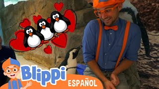 Blippi vista un acuario  Canciones para niños  Canciones educativas [upl. by Nordgren478]