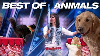 Singing Dogs Cat Tricks Animal Noises From A Human  Americas Got Talent 2018 [upl. by Olympias]