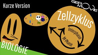 ► Zellzyklus und Zellteilung  verständlich erklärt  Kurze Version [upl. by Iveksarap521]