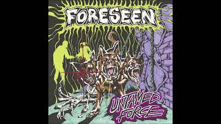 FORESEEN  Untamed Force FINLANDE  2022 [upl. by Notyrb]