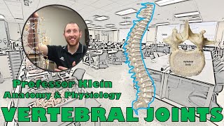 Vertebral Column Joints [upl. by Layor]