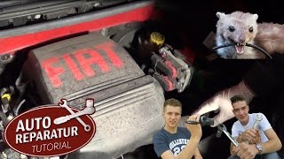 Marderschaden reparieren  Zündkabel wechseln  Auto Tutorial [upl. by Ji]