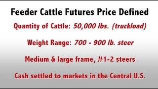 What are Feeder Cattle Futures Prices [upl. by Heathcote]