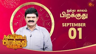 இன்றைய ராசி பலன்  நல்ல காலம் பிறக்குது  1st Sep 2020  Sun TV [upl. by Elayne]