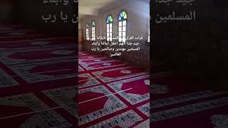 قراءه القران في المساجد مفيده [upl. by Vivianna]