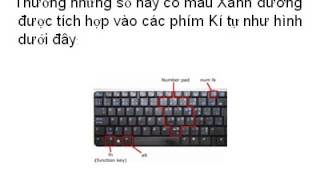 Bàn phím Laptop bị lỗi đánh chữ ra số  Cách xử lý nhanh nhất [upl. by Bess]