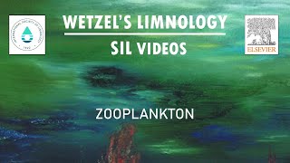 Zooplankton  Wetzels Limnology SIL Video [upl. by Concepcion]