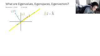 Eigenvectors Eigenvalues Eigenspaces Explained Easy Explanation [upl. by Okiram]