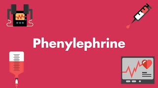 Phenylephrine  Vasopressors amp Inotropes [upl. by Spancake]