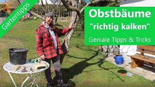 Obstbäume quotrichtig kalkenquot  Tipps amp Tricks [upl. by Trenna]