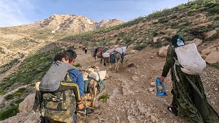 Incredible Iranian Nomadic Migration Journeying to the Mountain Summit in 2023 PART 2 [upl. by Sigfrid439]