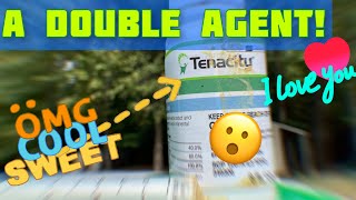 Tenacity THE Coolest Herbicide On The Market Why You Should Try It [upl. by Hayse]