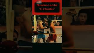 Nicolino quotEl Intocablequot Locche 🥊boxing [upl. by Falcone834]