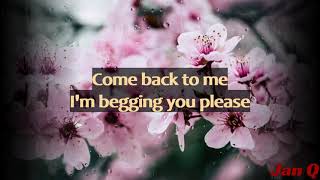 Janet Jackson  Come Back To Me Lyrics [upl. by Aenotna]