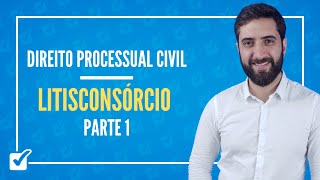 0402 Aula de Litisconsórcio Direito Processual Civil  Parte 1 [upl. by Inimod]