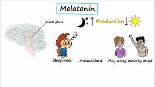 Z Drugs Melatonin Agonists amp Orexin Receptor Antagonists [upl. by Publias53]