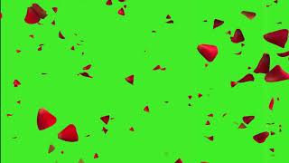 Rose Petals Falling Down Effect Video In Green Screen [upl. by Assirahs]