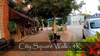 Demorest Georgia  City Square Tour  Walking USA [upl. by Goldin909]