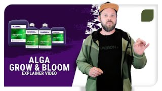 Plagron Alga Grow amp Alga Bloom Explainer video [upl. by Icam581]