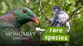 What is an endemic species  Mongabay Explains [upl. by Eerac600]