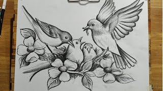 HOW TO DRAW BIRD FAMILYBIRD AND FLOWERS DRAWING WITH PENCIL SKETCHBIRD amp NEST DRAWINGBIRD DRAWING [upl. by Imuy]