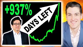 TOM LEE quotBUY THIS STOCK BEFORE ELECTIONquot [upl. by Itisahc]