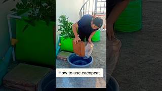 What is cocopeat cocopeat gardening youtubeshorts [upl. by Minsat19]