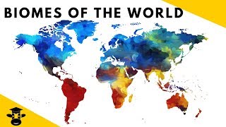 7 Biomes of the World Facts [upl. by Damha337]