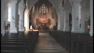 Pfarr und Wallfahrtskirche Mariä Himmelfahrt in Tirschenreuth [upl. by Baskett]