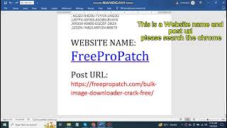 How TO use Bulk Image Downloader Without Key Free Setup Filee [upl. by Nallac59]