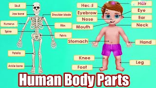 Human Body Parts  Identify Body Parts  Learn about your Body [upl. by Cayla]