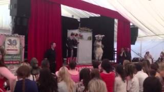 Jedward meet Bosco in Fota Wildlife Park [upl. by Melgar]