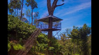 Mount View Coffee Plantation Visit  Coorg [upl. by Ayerf]