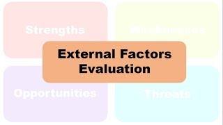 External Factor Evaluation  followup from SWOT Analysis [upl. by Llert]