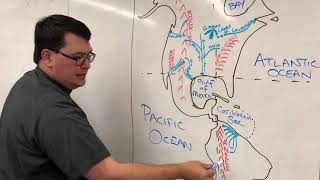 How to Draw a Map of North amp South America [upl. by Olegnaleahcim]