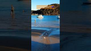 Walking in Ettalong Beach ⛱️ australia holiday edit beachlife [upl. by Malcom]