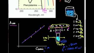 Detecting Proteins at 280 nm by UVVis Why How [upl. by Acinomal]