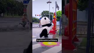 Oop what happened with cute panda trending panda funny ytshorts youtube english reels shorts [upl. by Punak]